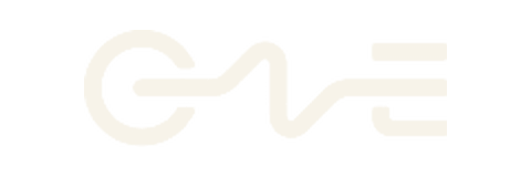 CVE